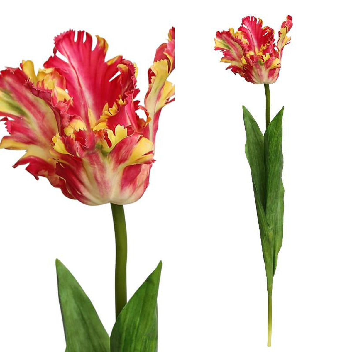 Ptmd tulilip fleur artificielle - 8 x 10 x 65 cm - rouge