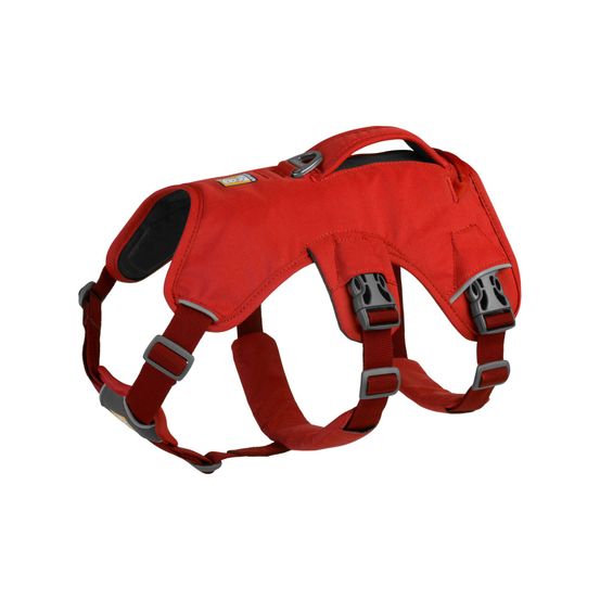 Harnais avec poignée web master™ pour la randonnée et l’aide à la mobilité. Couleur: red sumac (rouge), taille: xxs