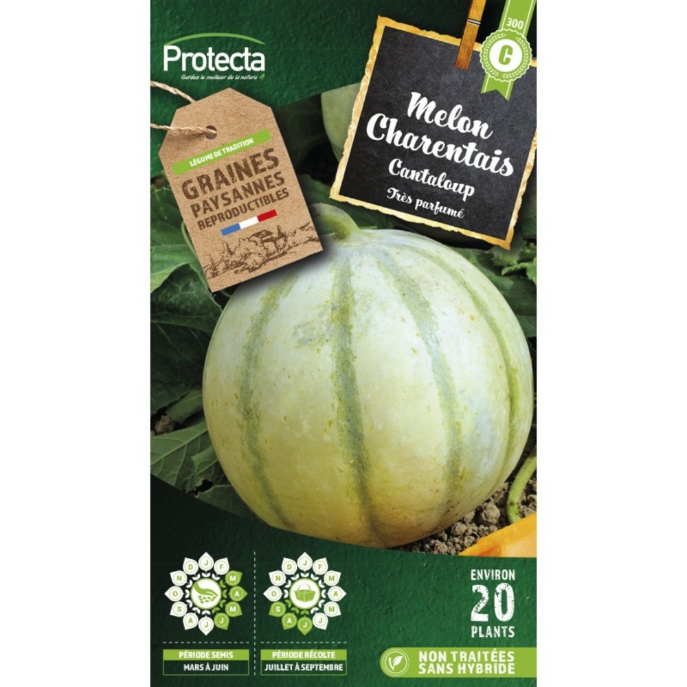 Graines paysannes - melon canteloup charentais