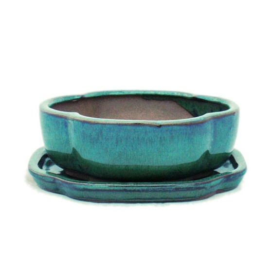 Bol bonsaï avec soucoupe taille 2 - vert - haitang/ovale - modèle i5 - l 14,5cm - b 12,5cm - h 5cm