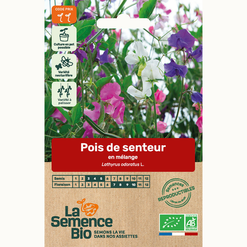 Pois de senteur en mélange - graines bio