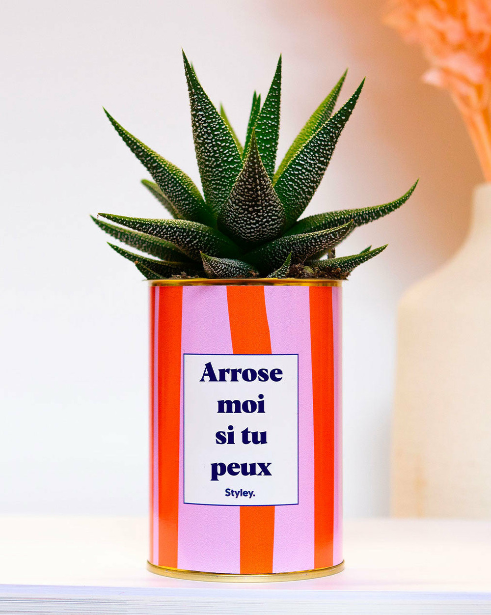 Plante personnalisée - arrose moi si tu peux - plante