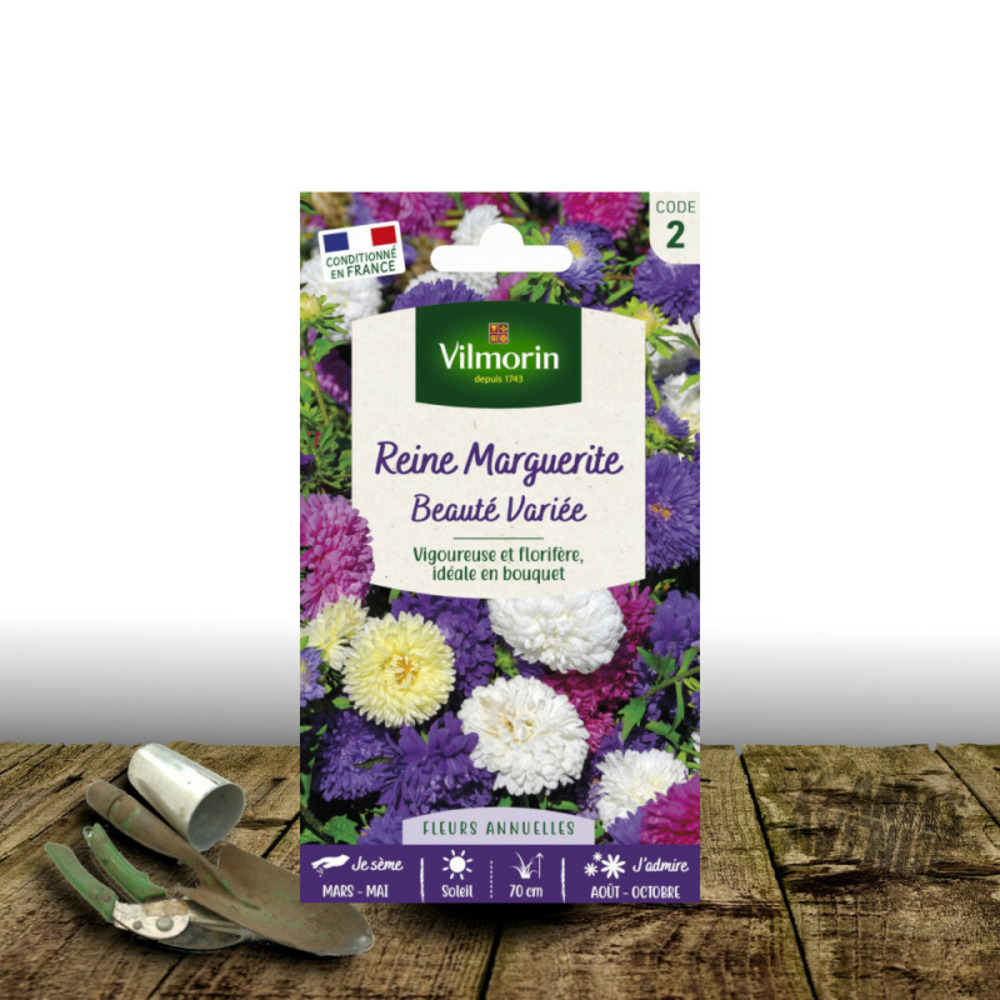 Graines de reine marguerite beauté variée - vilmorin sachet