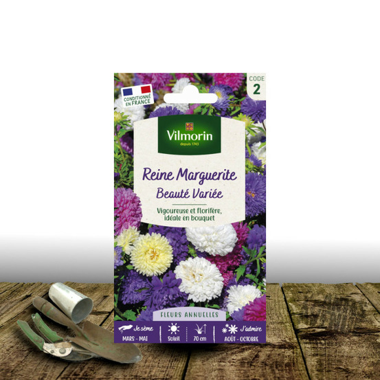 Graines de reine marguerite beauté variée - vilmorin sachet