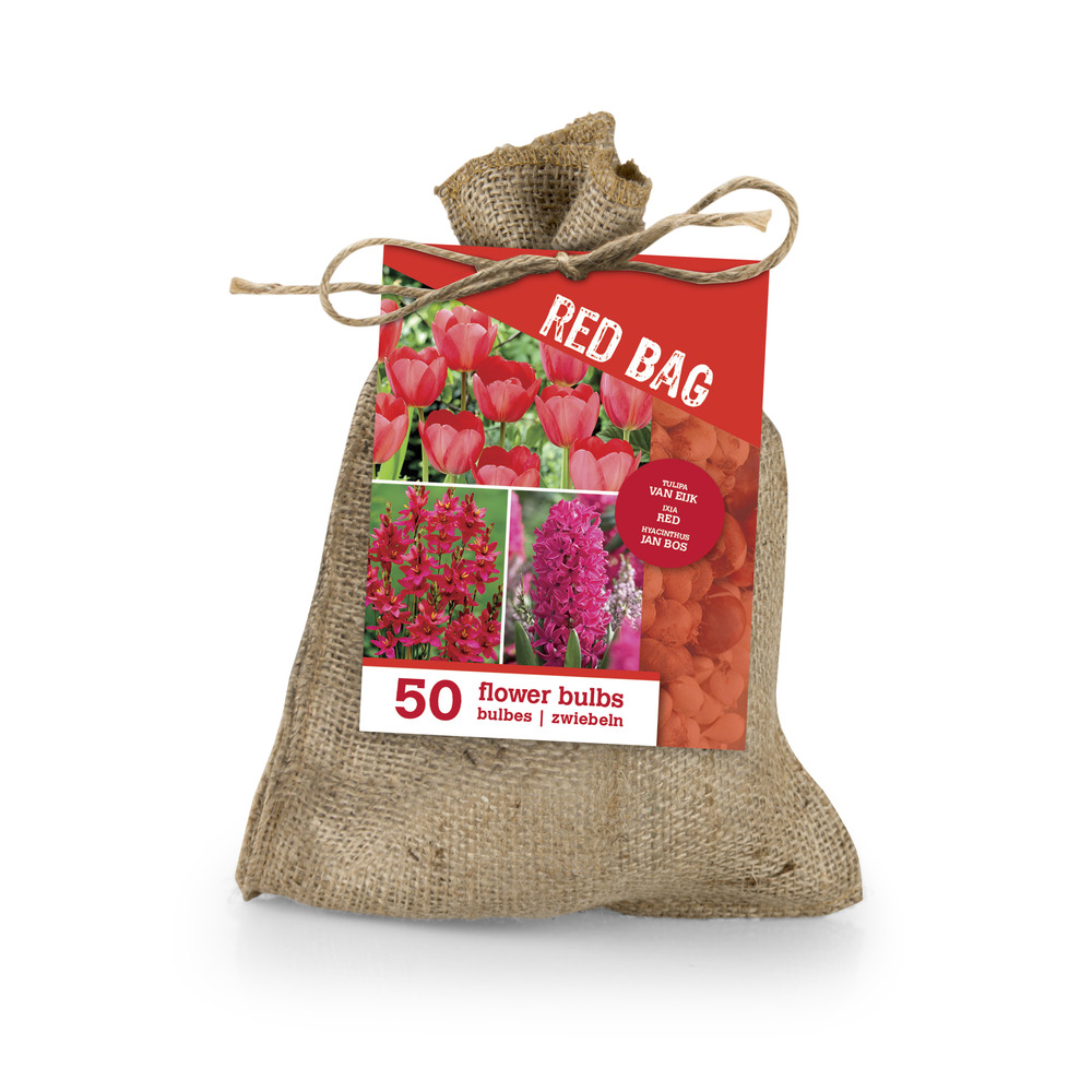 Mix de 50 le sac rouge - mélange rouge - floraison printanière - vivace