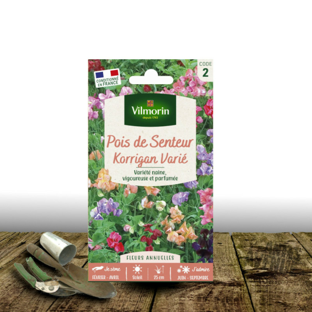 Graines de pois de senteur korrigan varié - vilmorin sachet