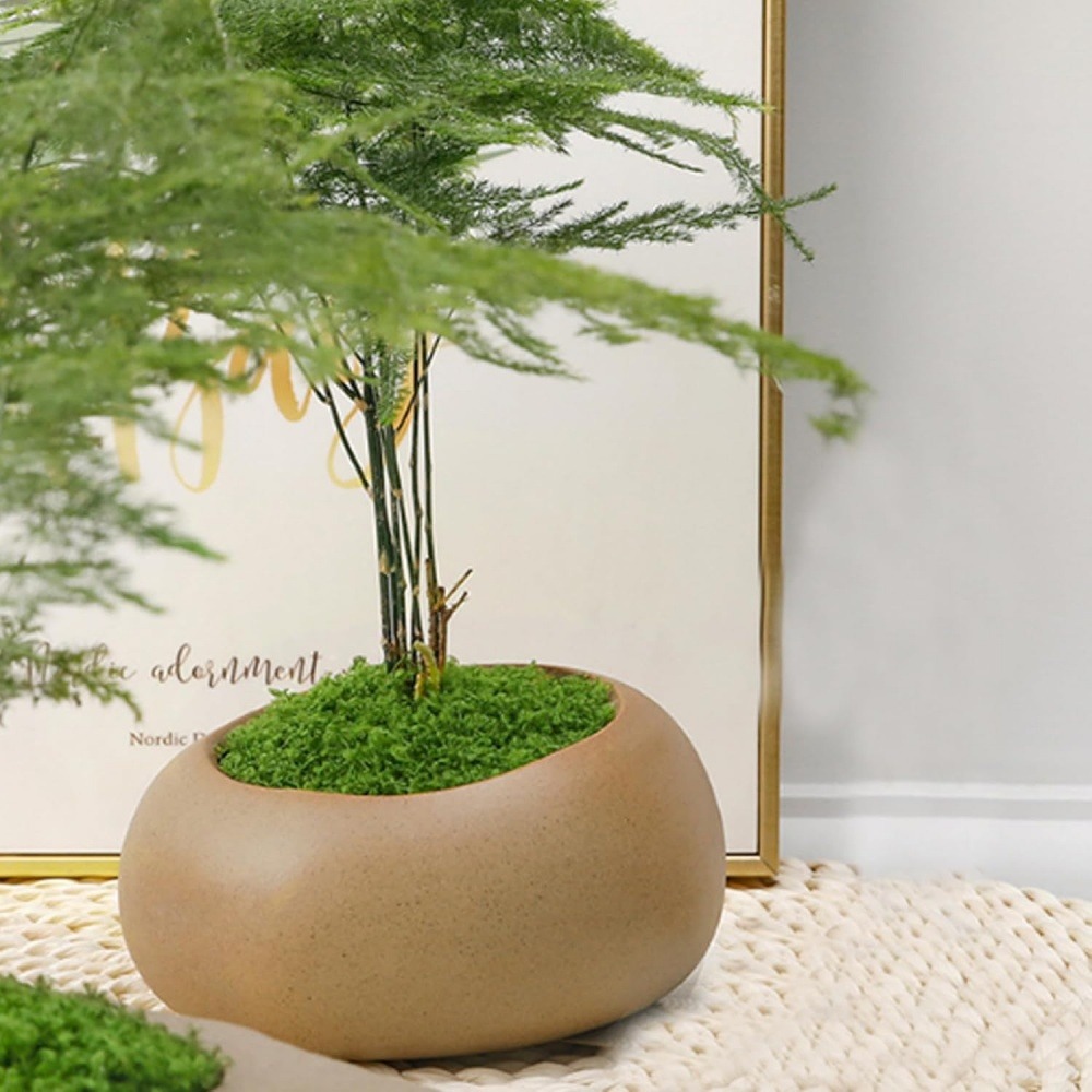 Mousse artificielle de 50g*2 pour décoration de jardin dtopbuyage