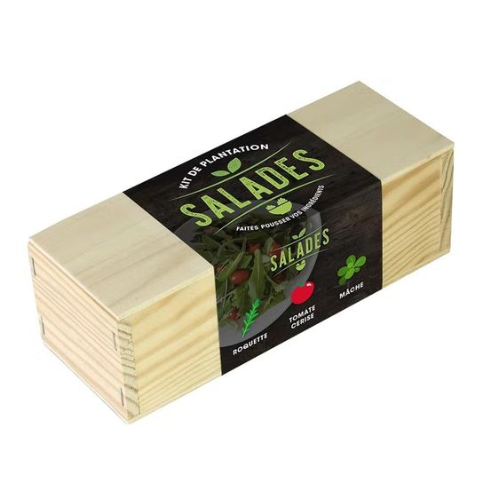 Resetea - kit de plantation potager salades