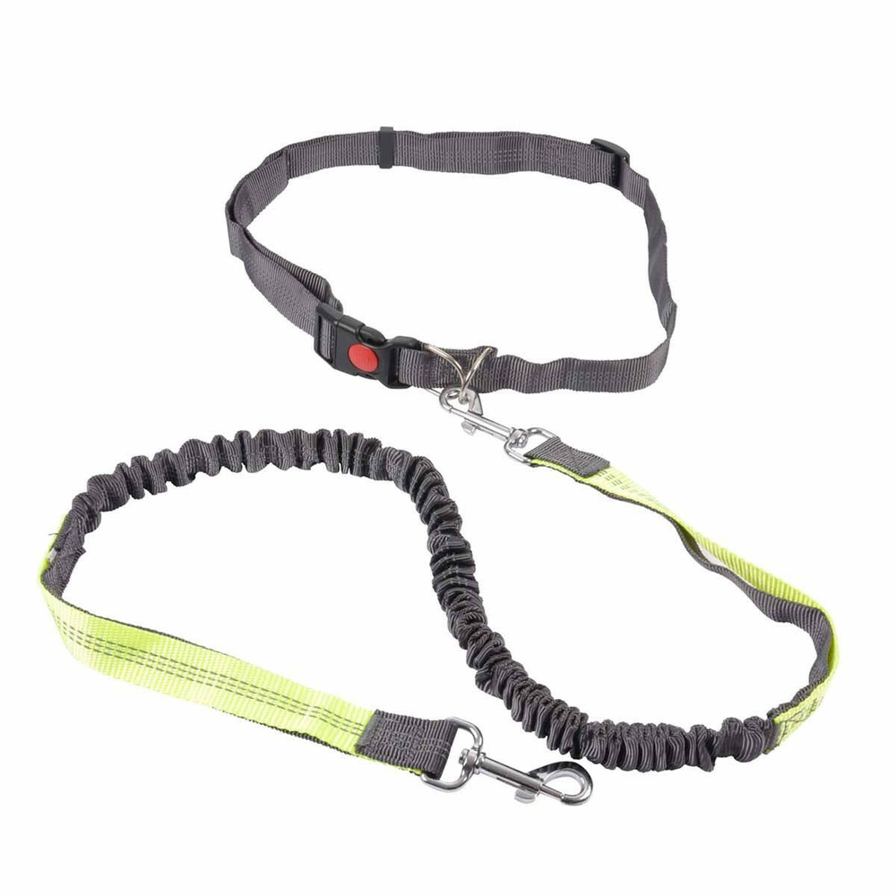 Kit running pour chien 