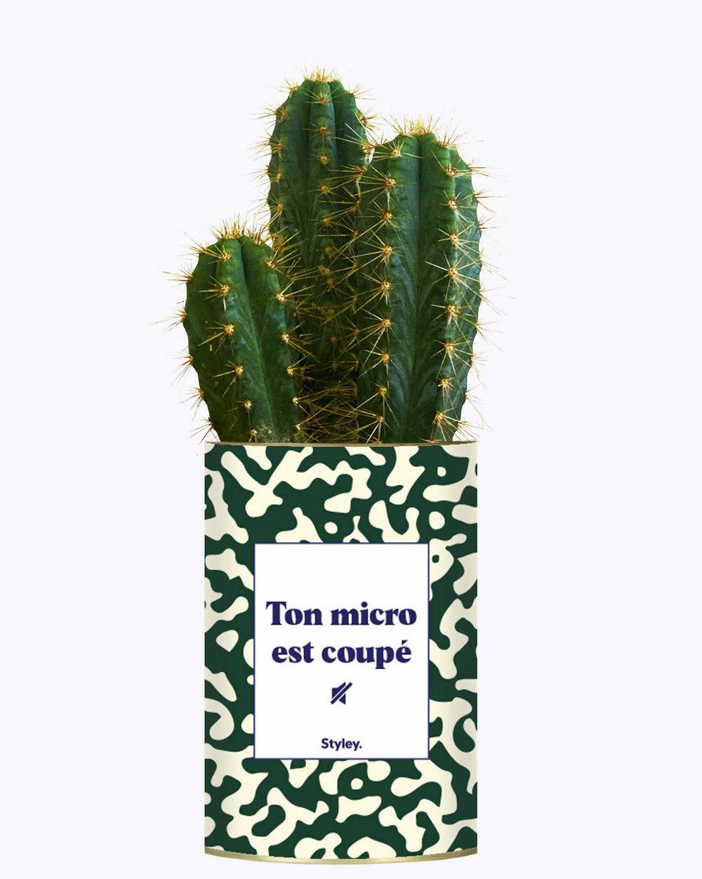 Idée cadeau - ton micro est coupé - cactus