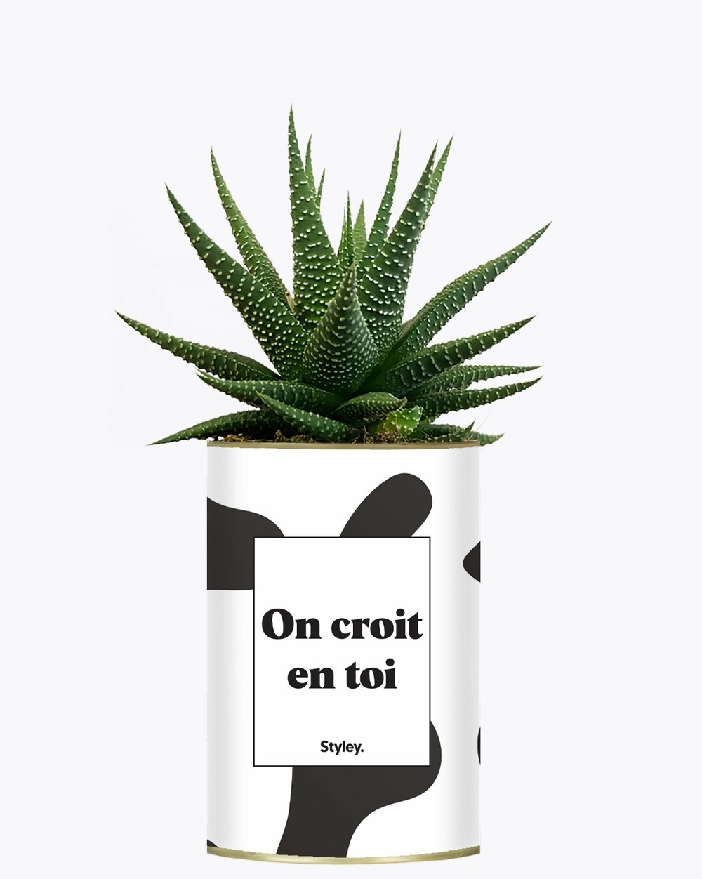 Plante drôle - on croit en toi - cactus