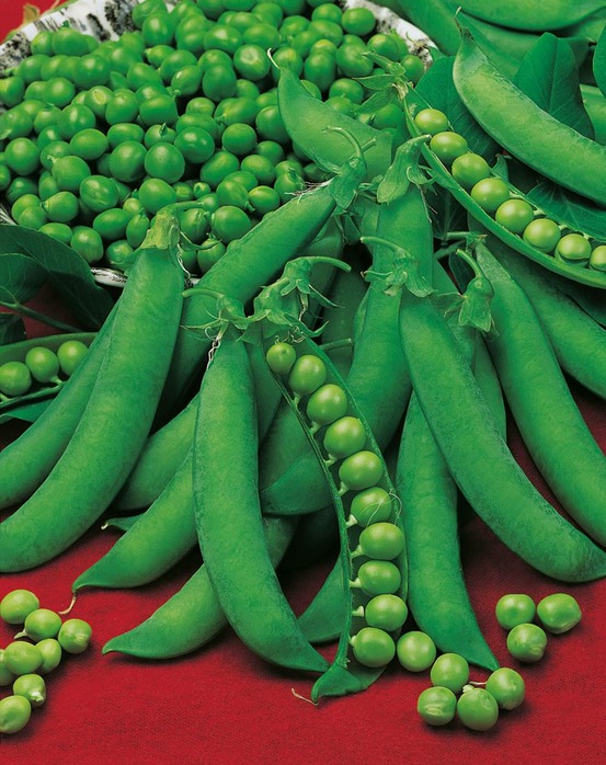 Pois serpette guilloteaux - 150 g