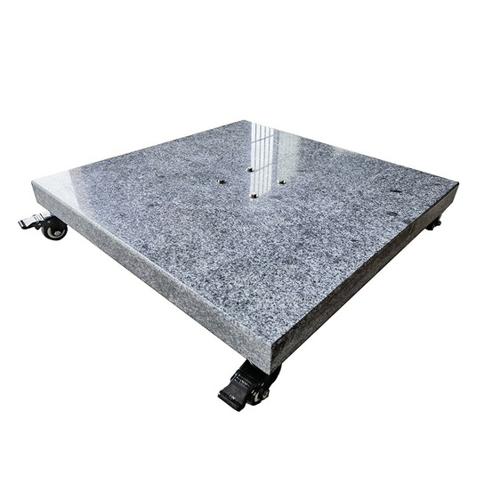 Pied de parasol platinia