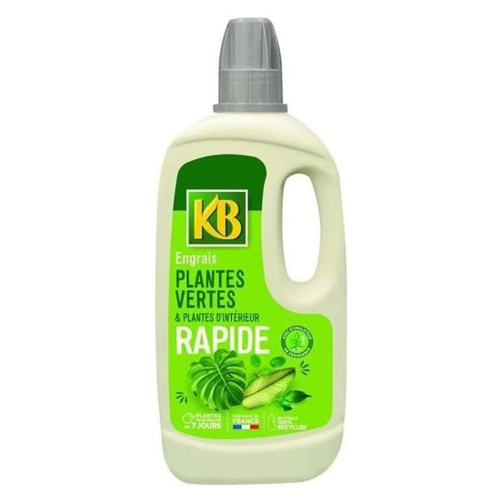 Engrais rapide plantes vertes et plantes d'intérieur 1l