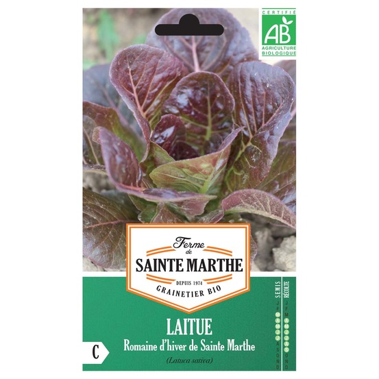 Laitue 'romaine d'hiver de sainte-marthe' le sachet de 350 graines environ