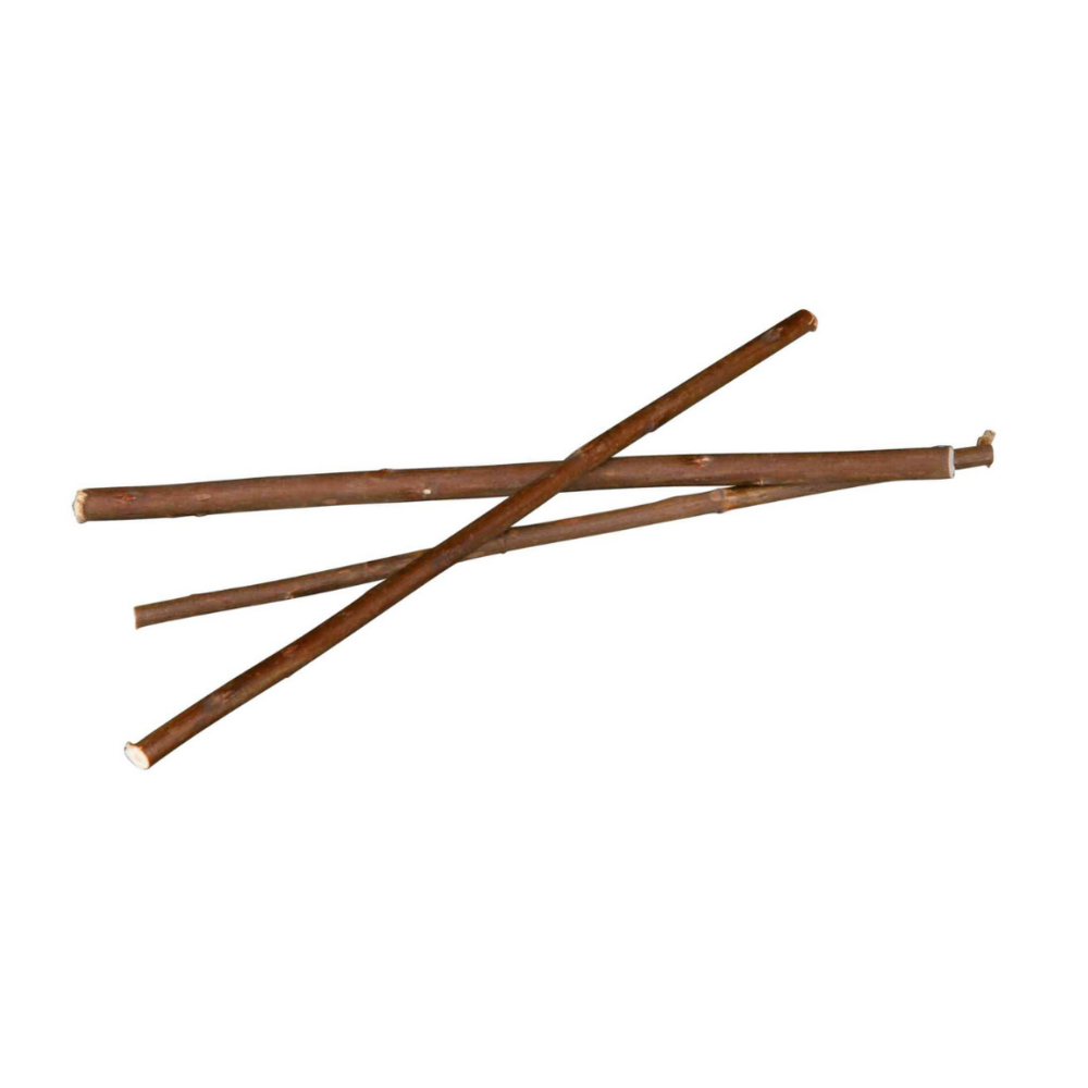 Branches de saule