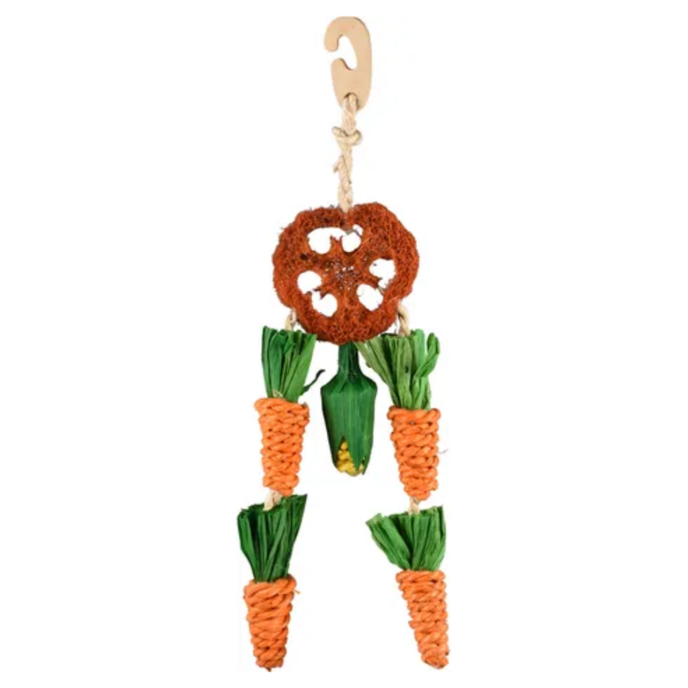 Carottes à suspendre