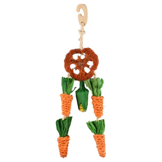 Carottes à suspendre