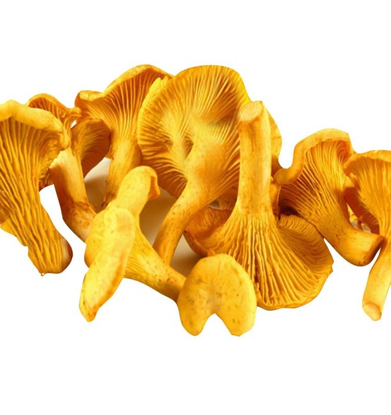 Girolles - bocal de 30 g