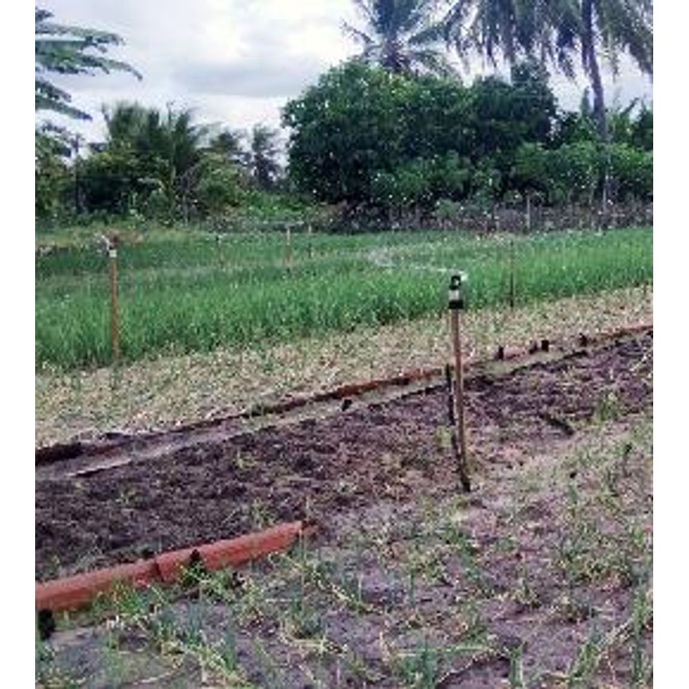 L’agroforesterie, c’est quoi ? 