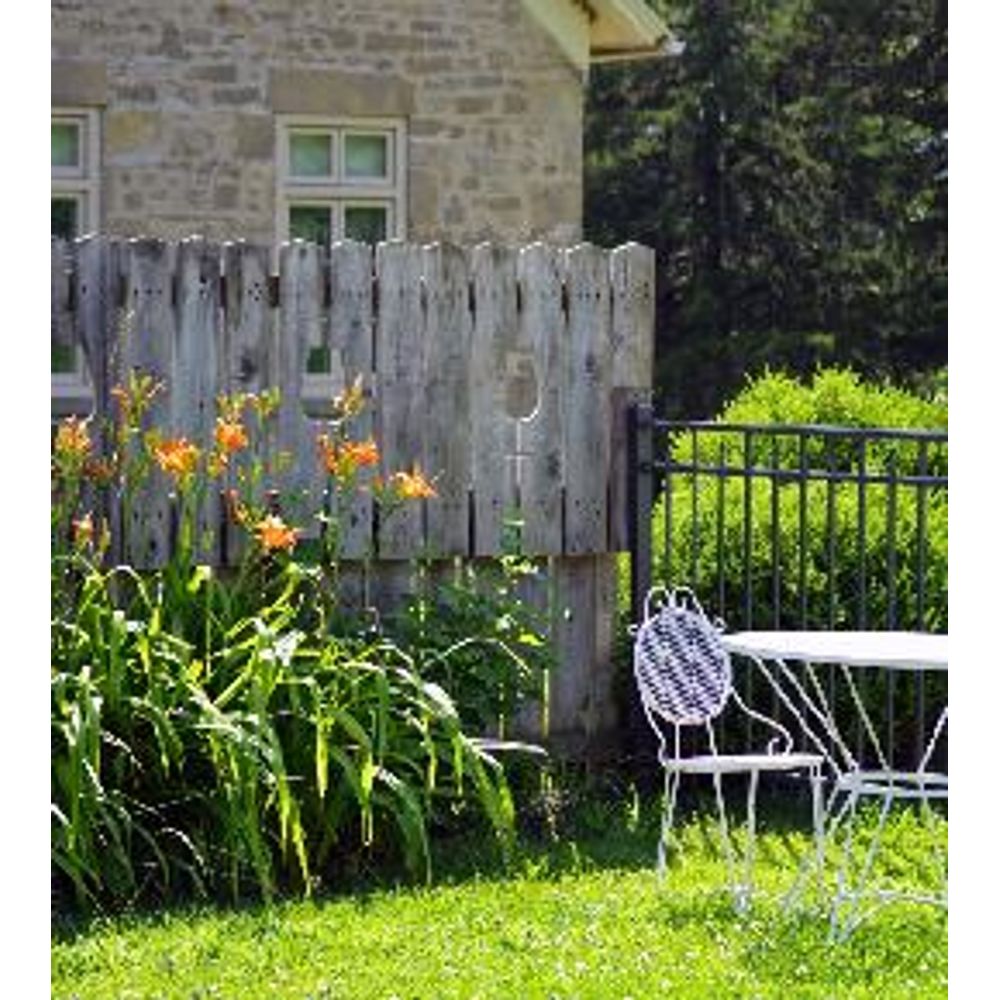 Aménager son premier jardin