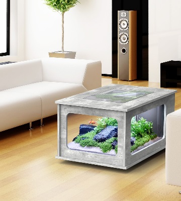 débuter avec aquarium eau douce