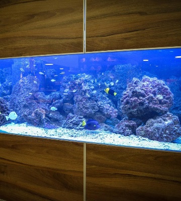 Tout savoir sur la filtration d'aquarium - le blog dédié à l'aquarium
