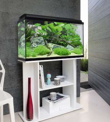 aquarium noir eau froide