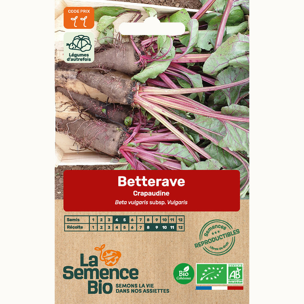 Betterave crapaudine - graines bio