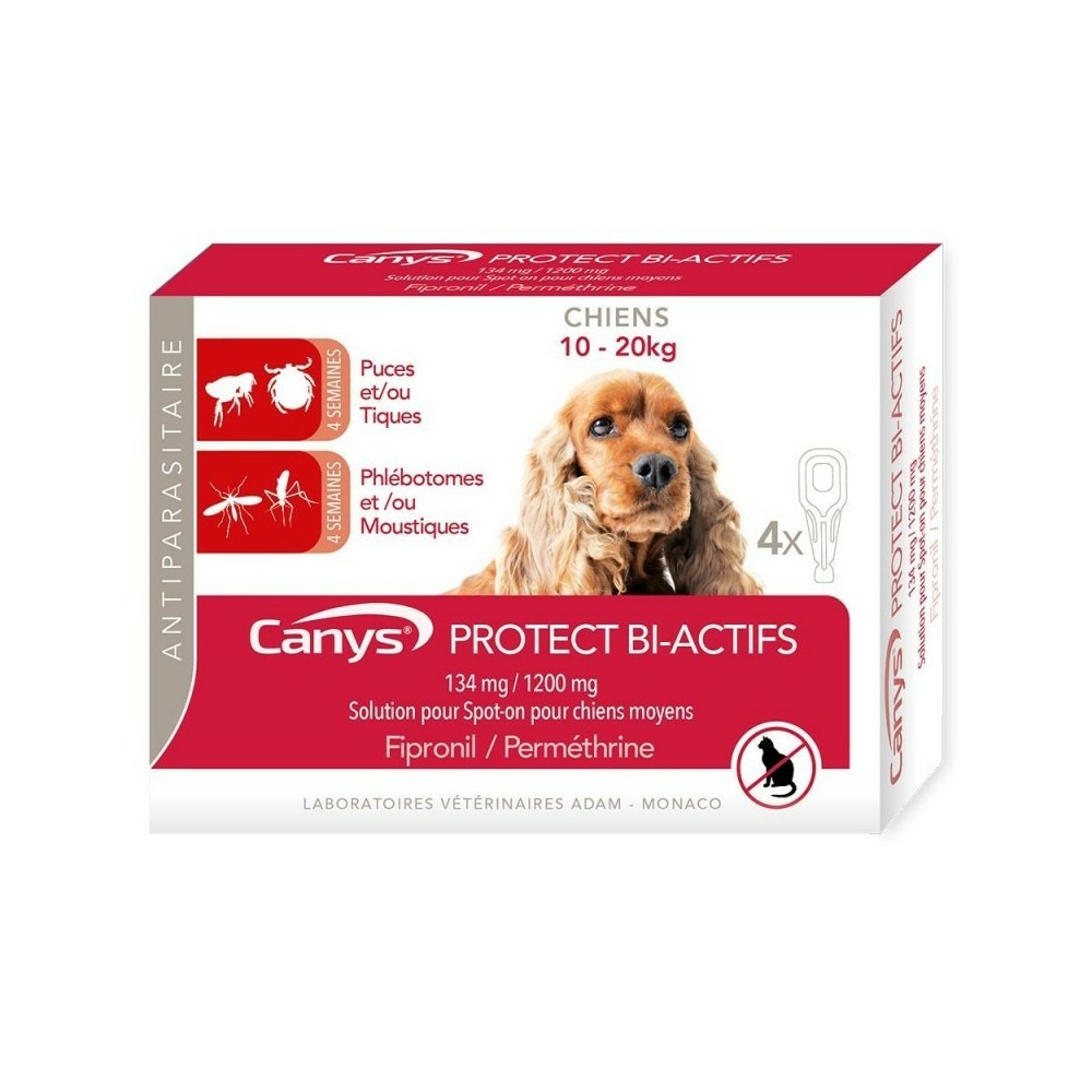 Canys protect - chien m