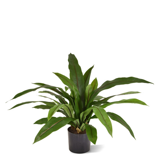 Plante artificielle asplenium antiquum fern 60cm