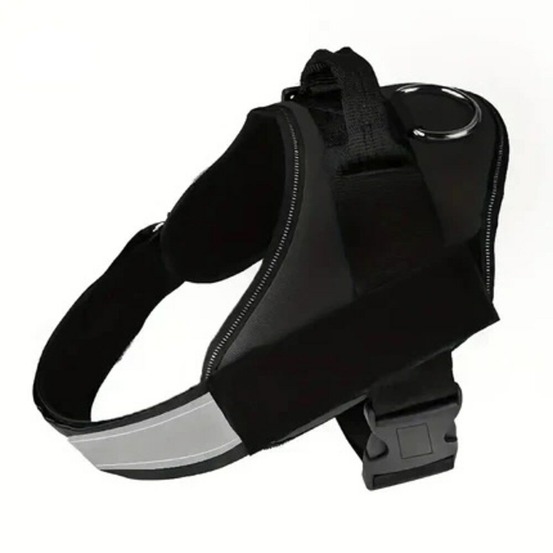 Magrets de canard friandise pour chien - 1kg - france croquettes