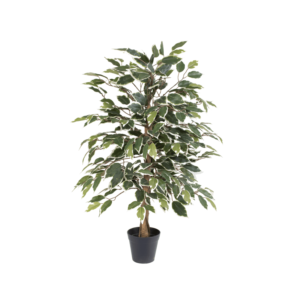 Ficus benjamina variegata - 85cm - ø13cm - plante artificielle