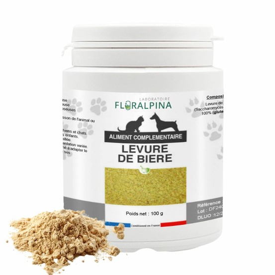 Levure de bière 100g
