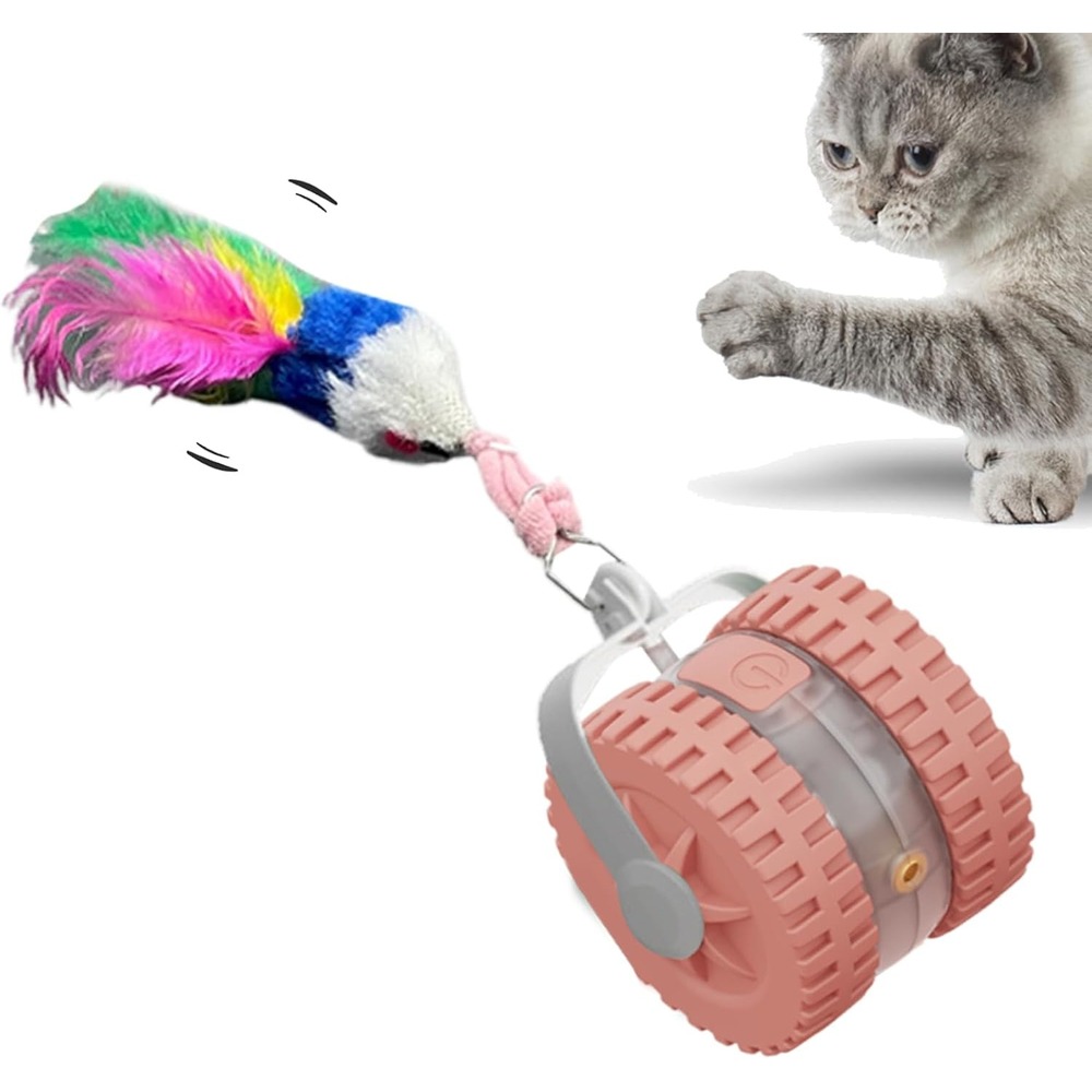 Jouet automatique éducatif pour félin