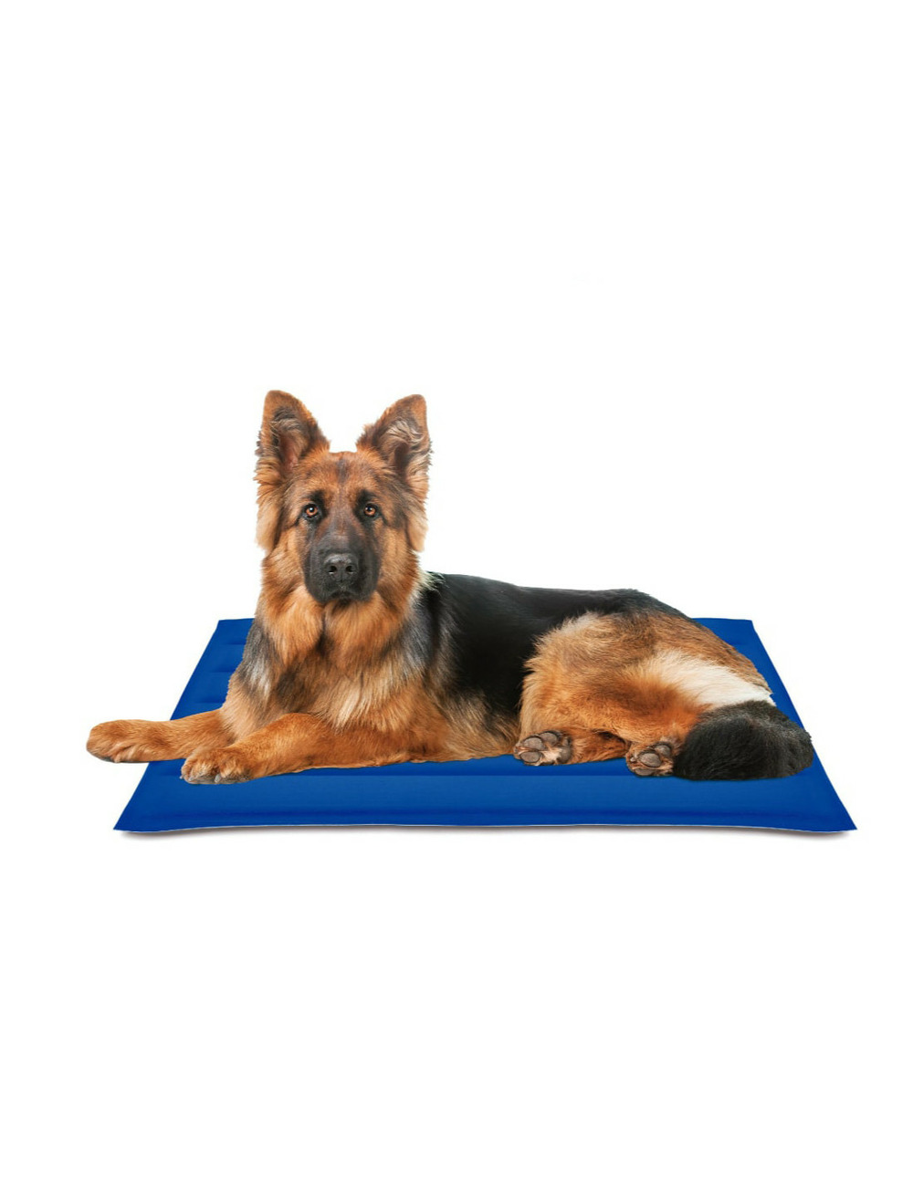 Tapis rafraîchissant cool mat gel bleu 90x105cm nayeco