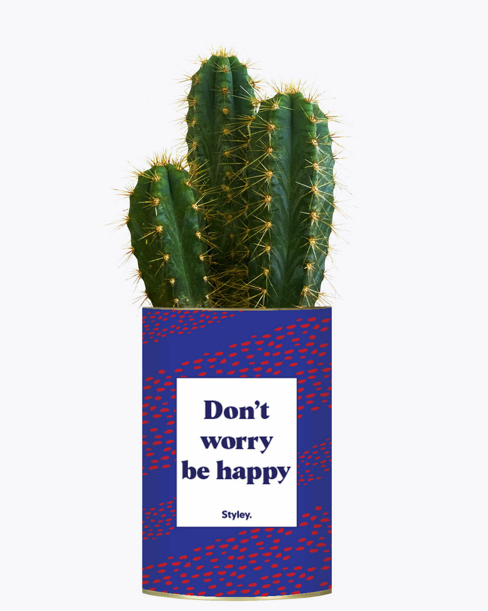 Idée cadeau - don't worry be happy - cactus