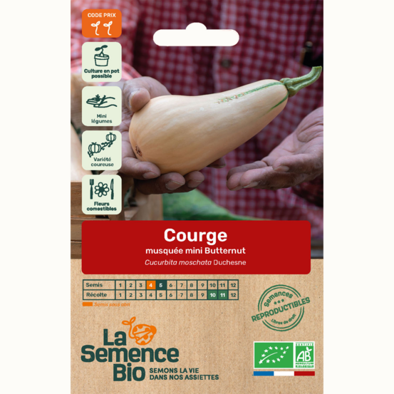 Courge musquée mini-butternut - graines bio