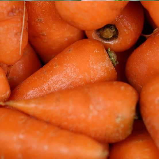 Graines de carotte ronde marché de paris - vilmorin sachet