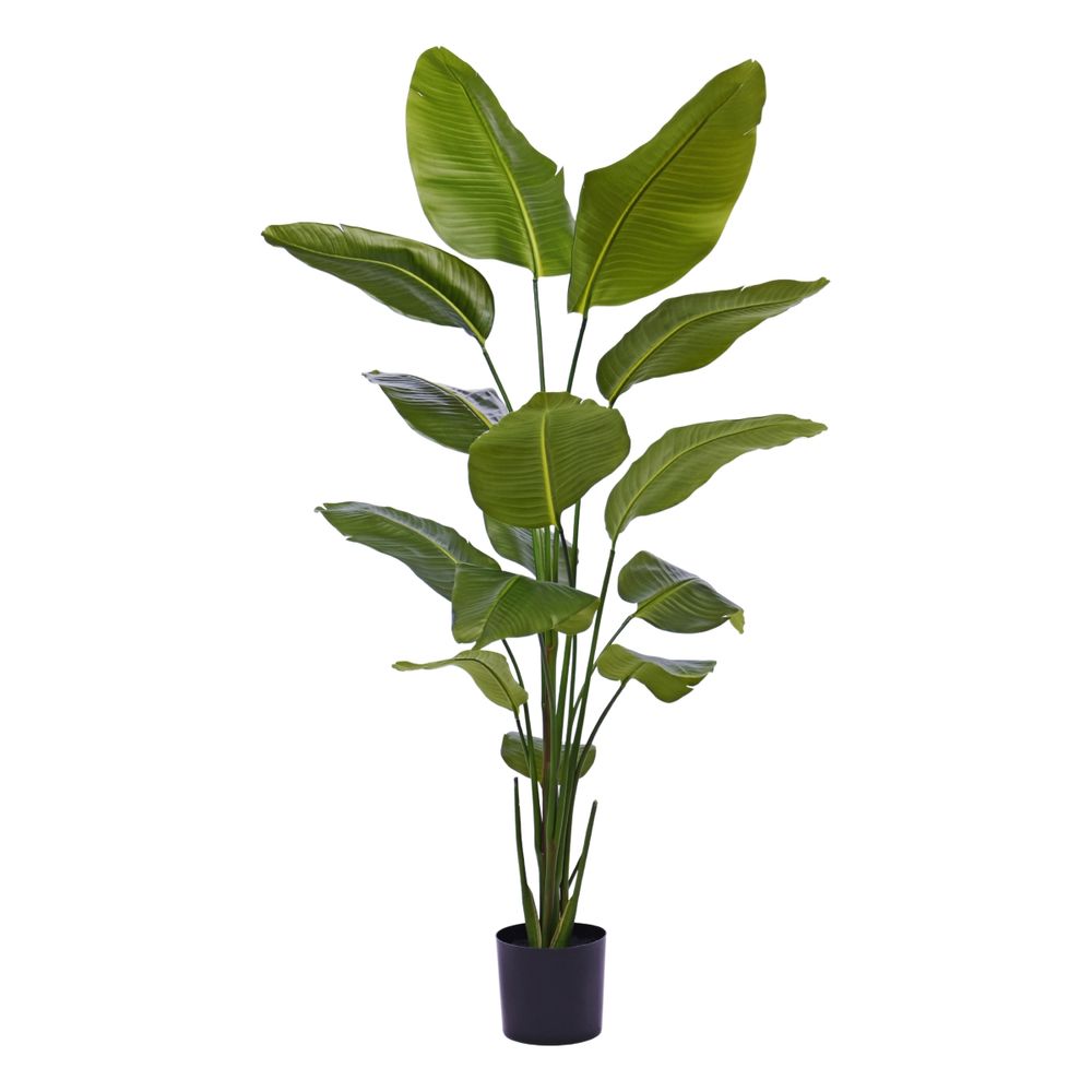 Plante artificielle strelitzia nicolai 175cm