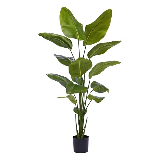 Plante artificielle strelitzia nicolai 175cm