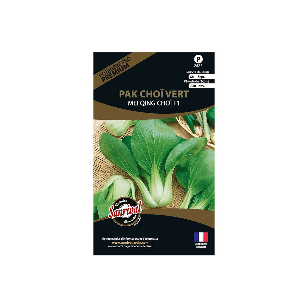 Graines potagères premium pak choï vert