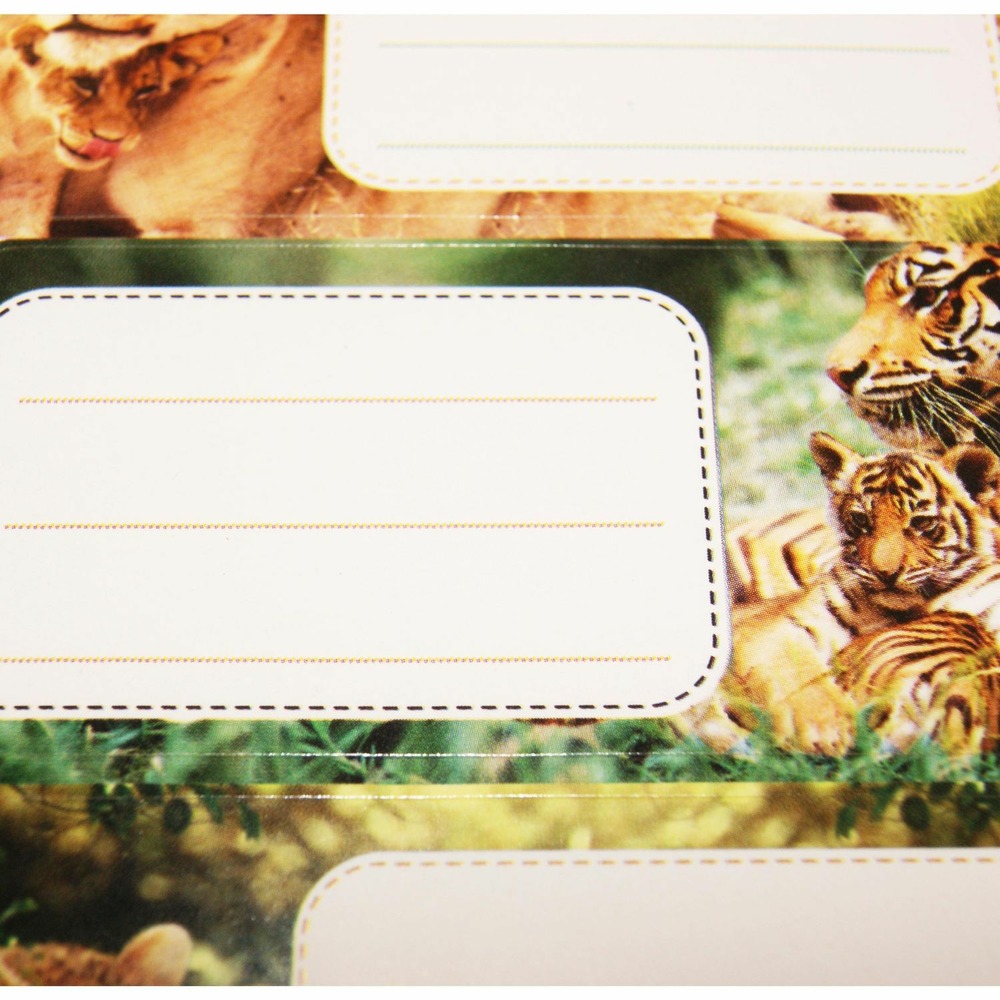 12 étiquettes adhésives scolaires - rectangle - photos félins