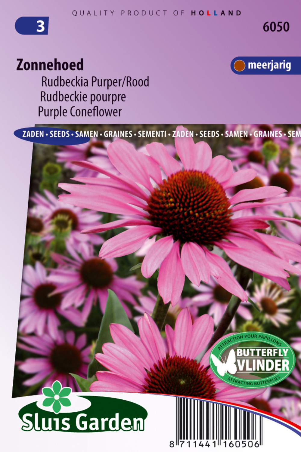 Rudbeckie pourpre (echinacea) - graines de fleurs vivaces - ca. 0,3 g (livraison gratuite)