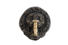 Mascaron tête de lion vieux bronze avec robinet colvert