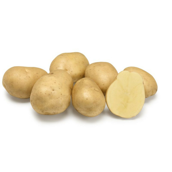 Trésor 25 plants de pomme de terre