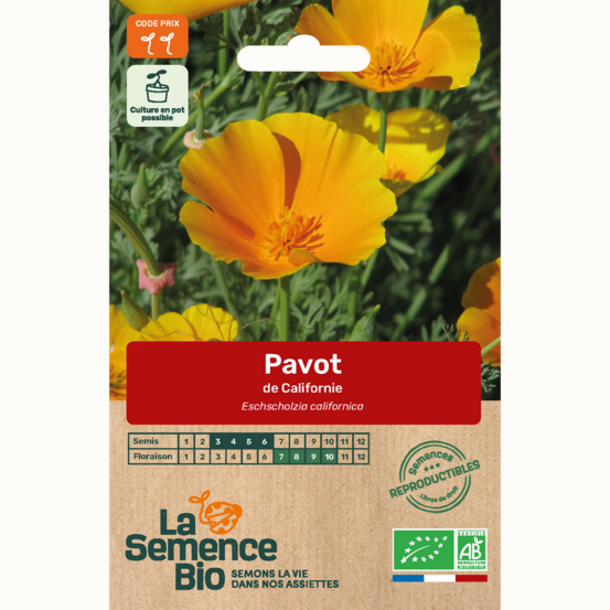 Pavot de californie - graines bio