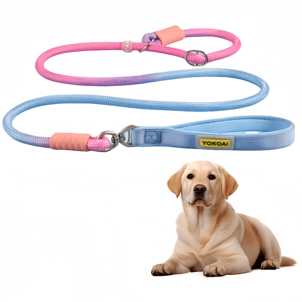 Corde de traction anti - pull pour chien m