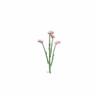 Fleur factices statice h64cm superbe et originale idéale bouquet rose - couleur: