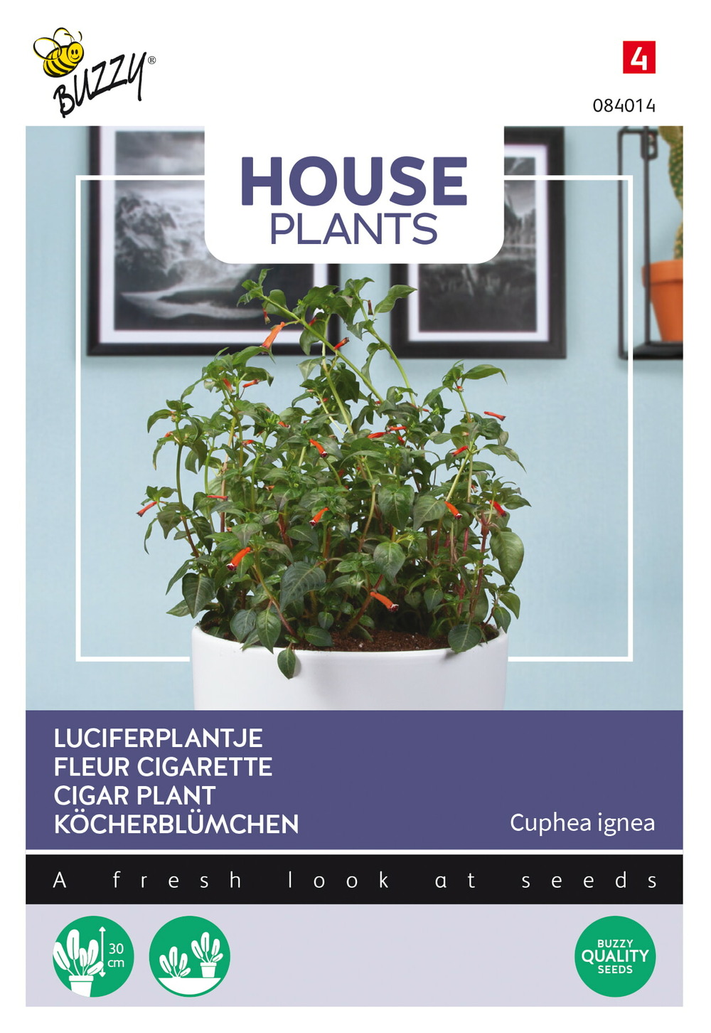 Buzzy house plants cuphea fleur cigarette - ca. 0,1 gr